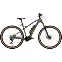 voodoo bizango electric